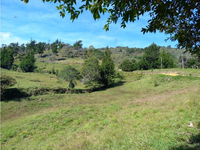 Finca en  Venta en La honda, Guarne - Miniatura 19