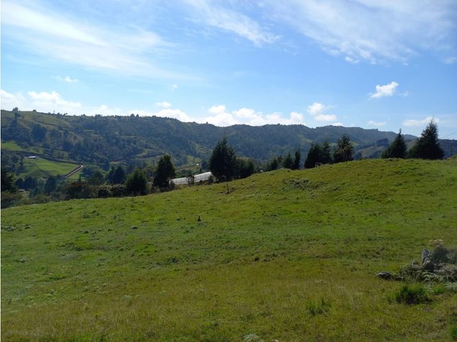 Finca en  Venta en La honda, Guarne - Miniatura 22