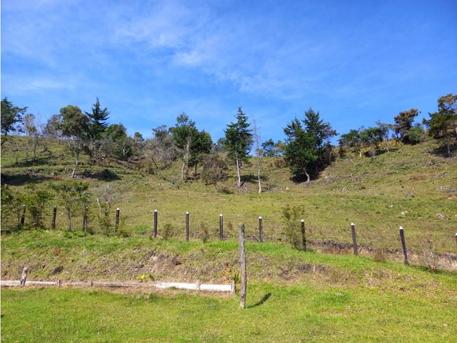 Finca en  Venta en La honda, Guarne - Miniatura 23