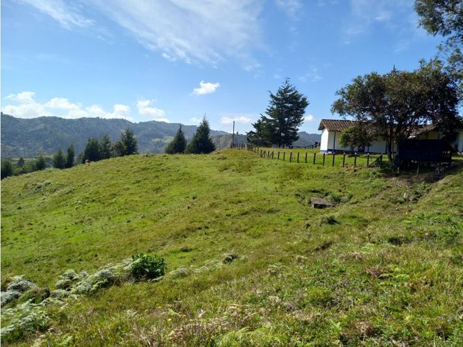 Finca en  Venta en La honda, Guarne - Miniatura 25