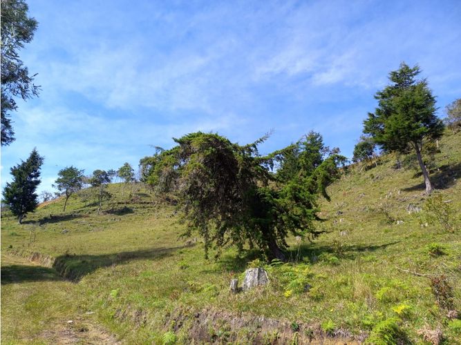 Finca en  Venta en La honda, Guarne - Miniatura 26