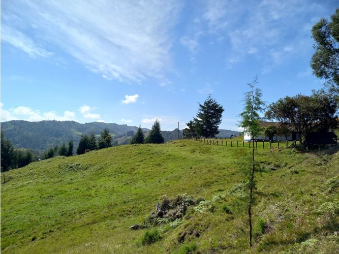 Finca en  Venta en La honda, Guarne - Miniatura 27