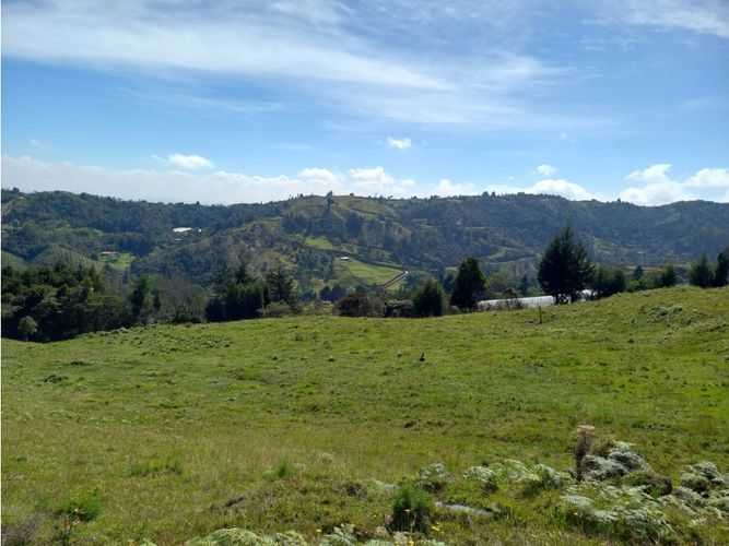 Finca en  Venta en La honda, Guarne - Miniatura 28