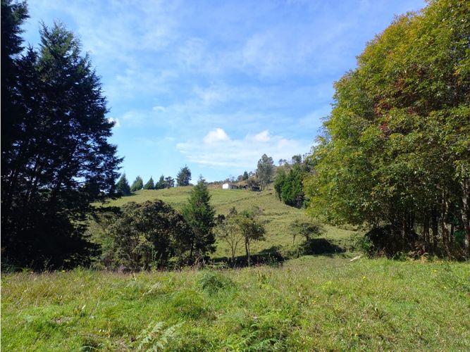 Finca en  Venta en La honda, Guarne - Miniatura 29