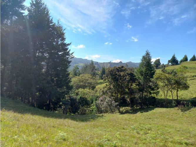 Finca en  Venta en La honda, Guarne - Miniatura 30