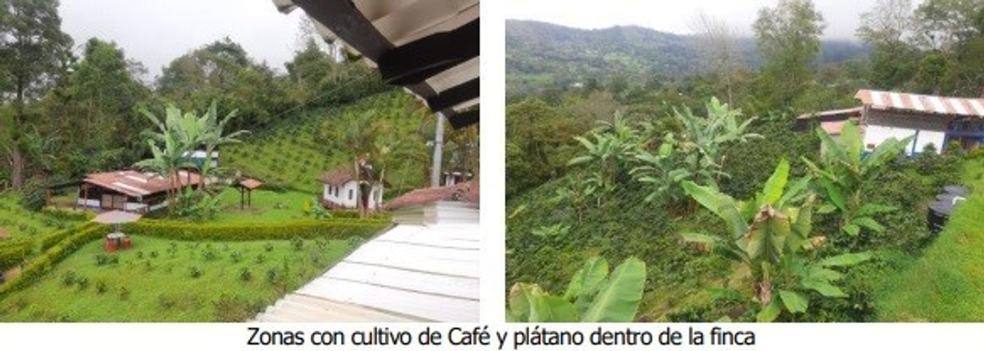 Finca en  Venta en San francisco - Miniatura 3