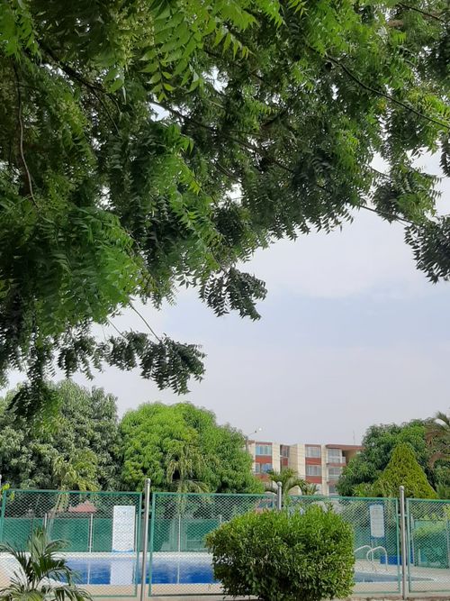 Local en  Venta en Quintas de flandes, Flandes - Miniatura 15