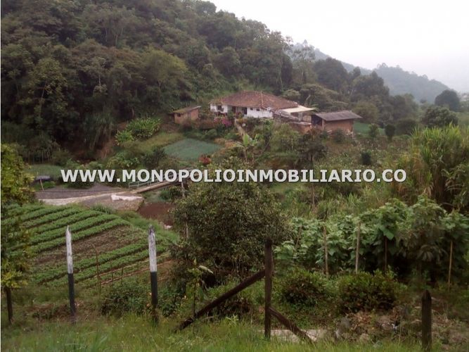 Finca en  Venta en Belencito, Medellín - Imagen 1