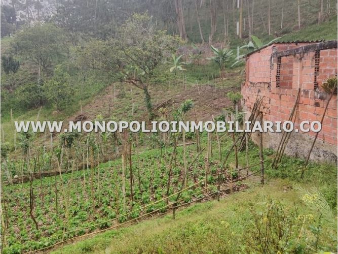 Finca en  Venta en Belencito, Medellín - Miniatura 3