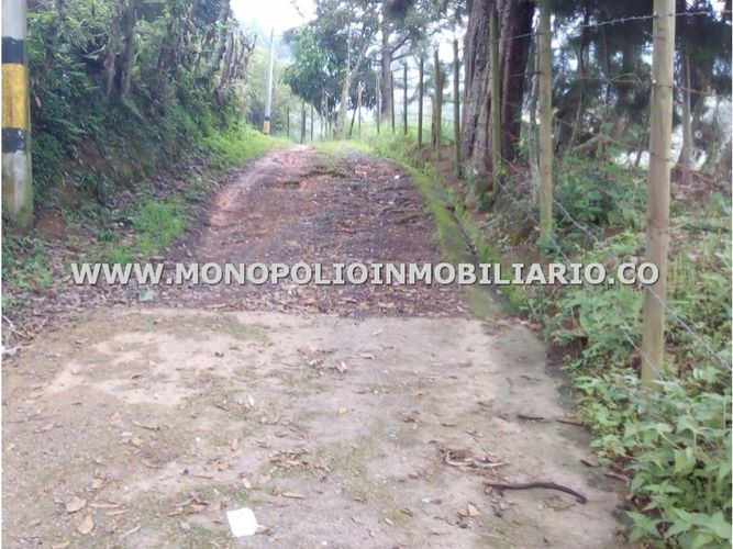 Finca en  Venta en Belencito, Medellín - Miniatura 4