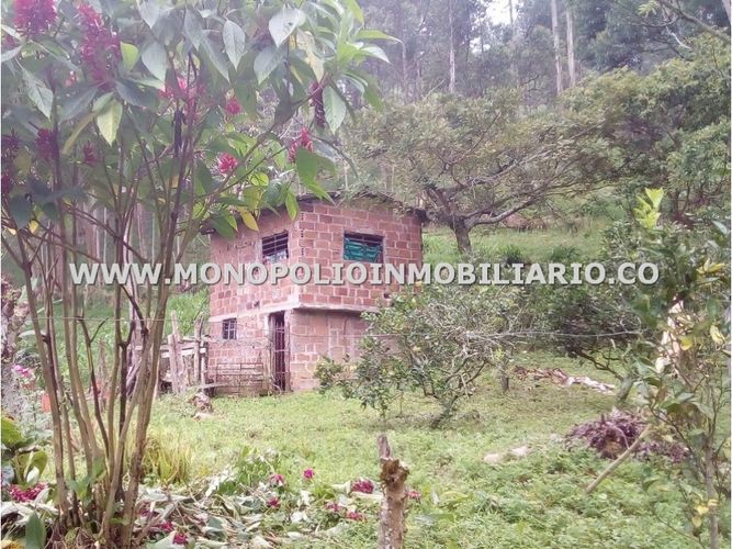 Finca en  Venta en Belencito, Medellín - Miniatura 6
