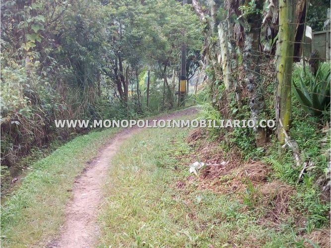Finca en  Venta en Belencito, Medellín - Miniatura 7