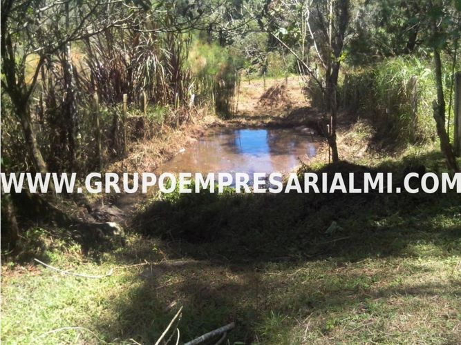 Apartaestudio en  Venta en Rionegro - Miniatura 28
