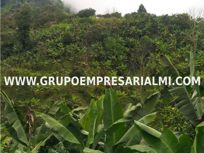 Apartaestudio en  Venta en Los andes - Miniatura 4