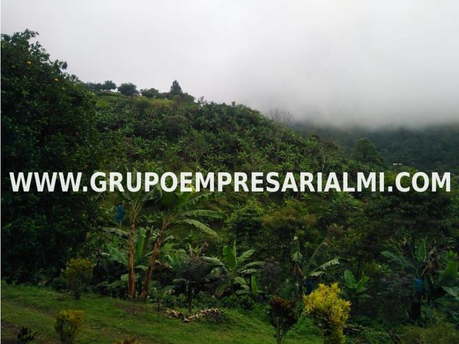 Apartaestudio en  Venta en Los andes - Miniatura 5