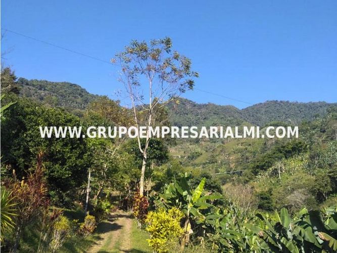 Apartaestudio en  Venta en Los andes - Miniatura 7