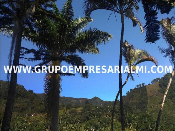 Apartaestudio en  Venta en Los andes - Miniatura 8