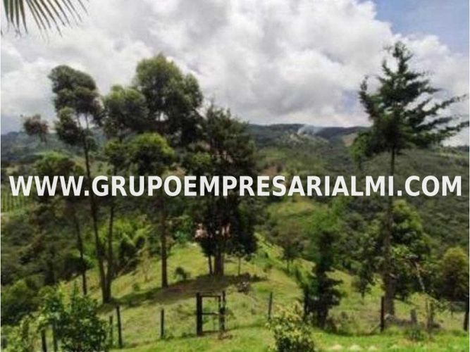 Finca en  Venta en El Retiro - Miniatura 18