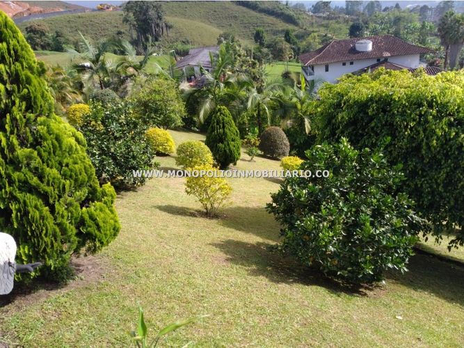 Apartaestudio en  Venta en Primavera, Caldas - Miniatura 12