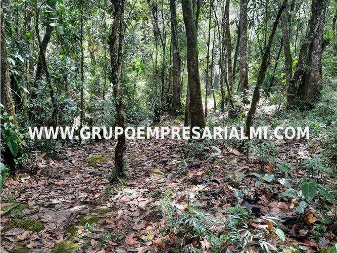 Apartaestudio en  Arriendo en Santa Elena, Medellín - Miniatura 23