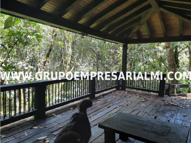 Apartaestudio en  Arriendo en Santa Elena, Medellín - Miniatura 25
