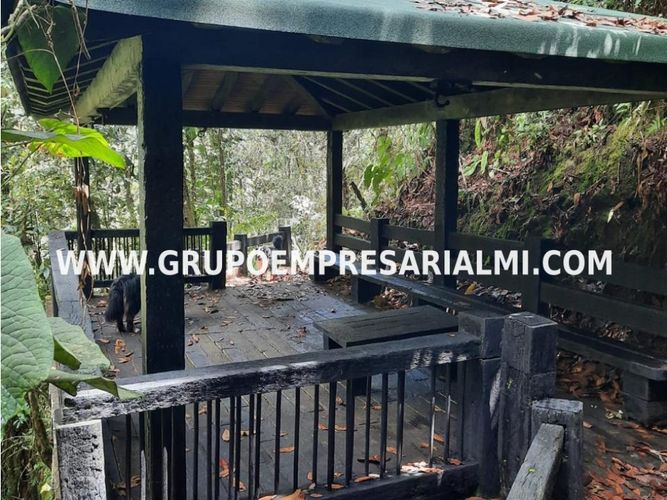 Apartaestudio en  Arriendo en Santa Elena, Medellín - Miniatura 26