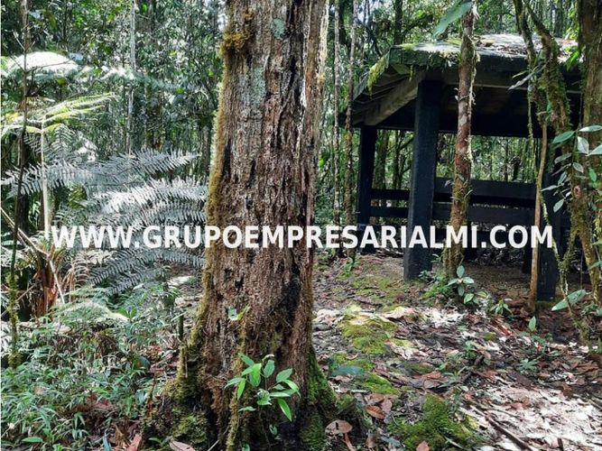 Apartaestudio en  Arriendo en Santa Elena, Medellín - Miniatura 28