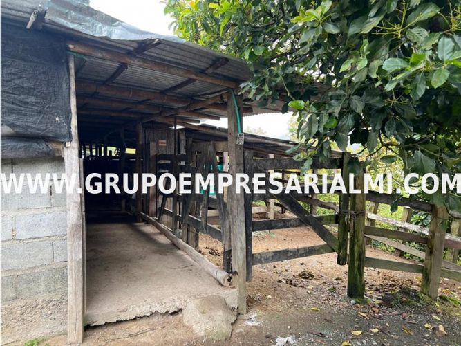 Apartaestudio en  Venta en La candelaria, Medellín - Miniatura 21