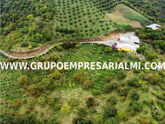 Apartaestudio en  Venta en La candelaria, Medellín - Miniatura 22