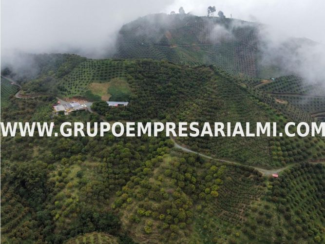 Apartaestudio en  Venta en La candelaria, Medellín - Miniatura 24