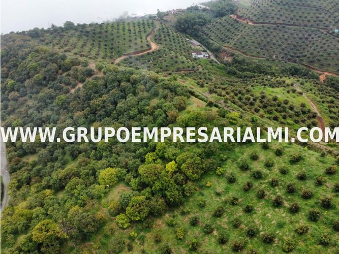 Apartaestudio en  Venta en La candelaria, Medellín - Miniatura 30