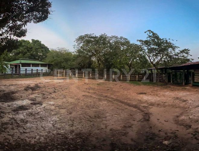 Finca en venta en Puerto gaitan - Miniatura 3
