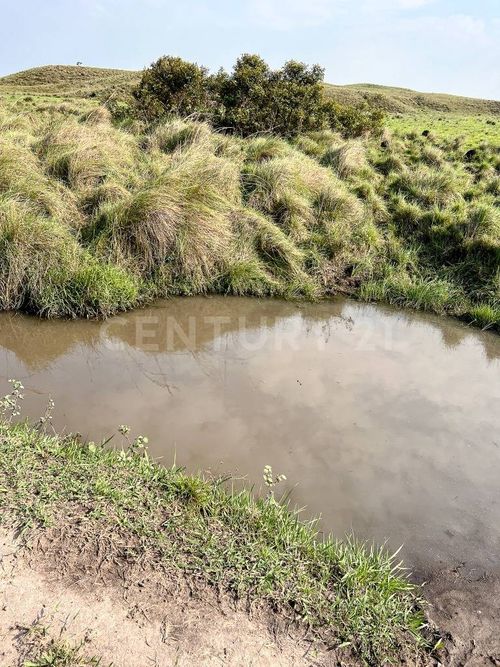 Finca en venta en Puerto gaitan - Miniatura 5