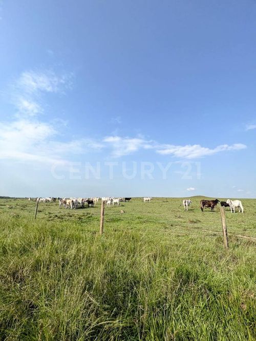 Finca en venta en Puerto gaitan - Miniatura 6