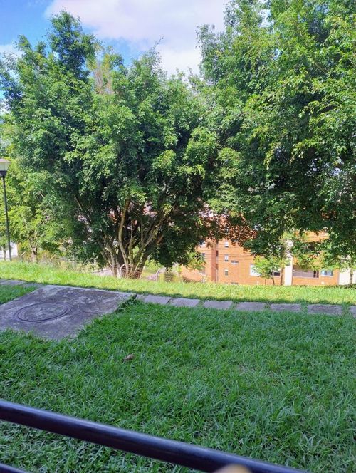 Apartaestudio en  Venta en Avenida Sur, Pereira - Miniatura 12
