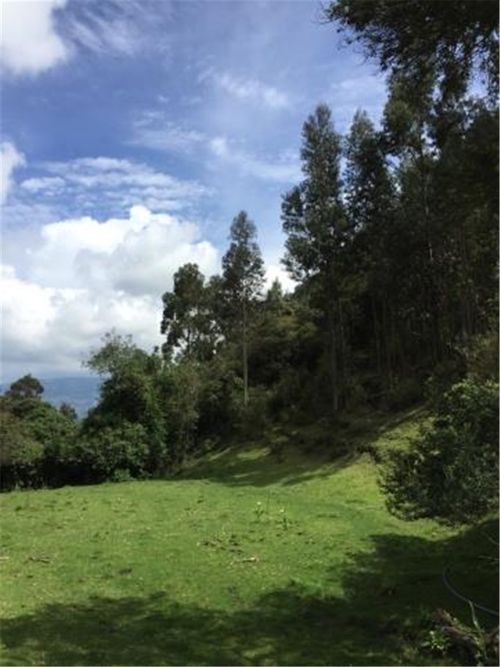 Finca en  Venta en Galdamez, Subachoque - Miniatura 3