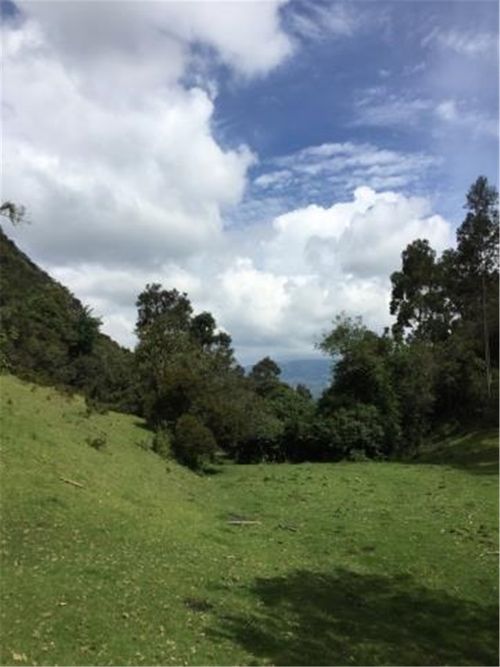 Finca en  Venta en Galdamez, Subachoque - Miniatura 6