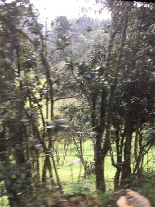 Finca en  Venta en Galdamez, Subachoque - Miniatura 7