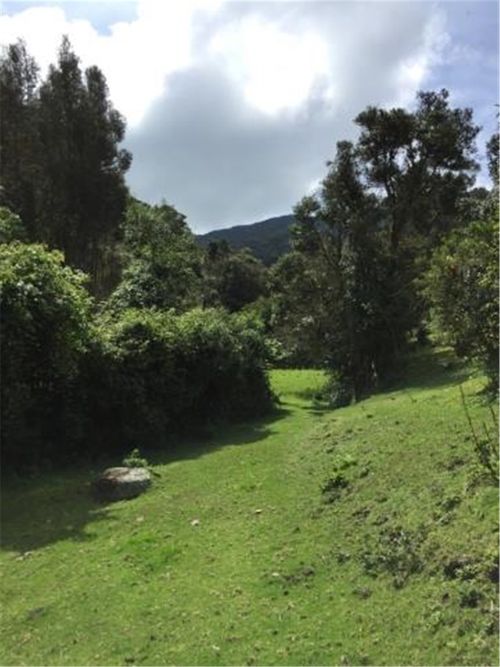 Finca en  Venta en Galdamez, Subachoque - Miniatura 10