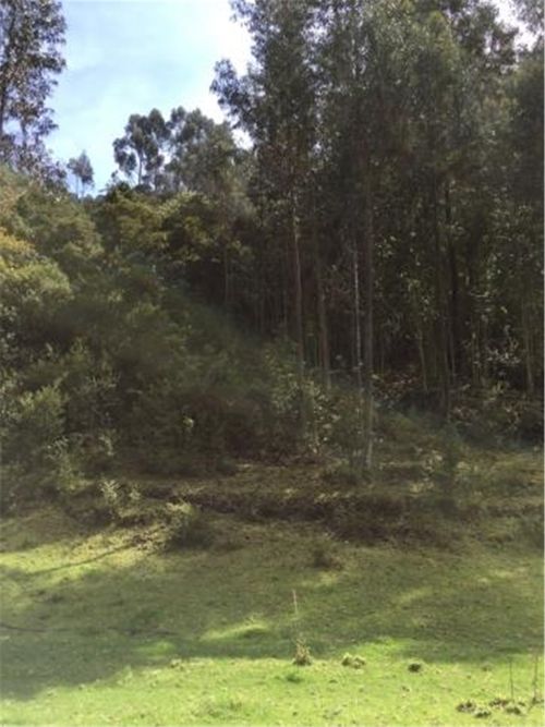 Finca en  Venta en Galdamez, Subachoque - Miniatura 15