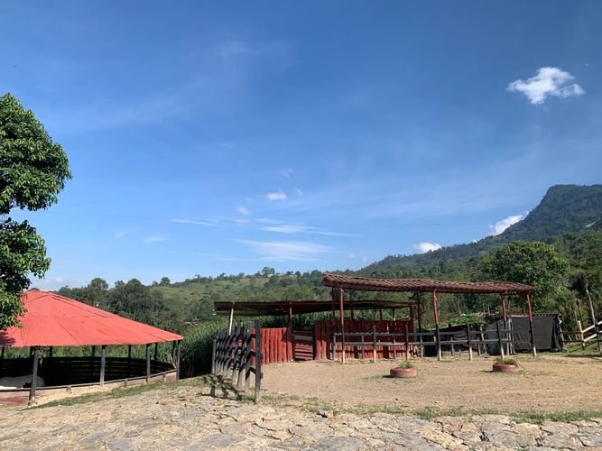 Finca en  Venta en Zipacon - Miniatura 5