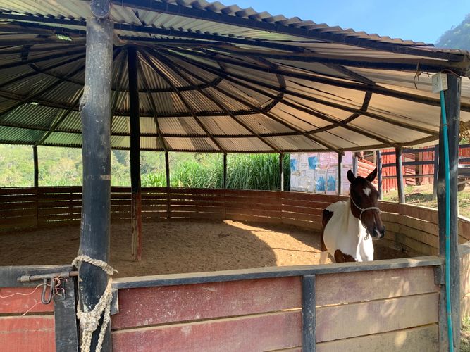 Finca en  Venta en Zipacon - Miniatura 10
