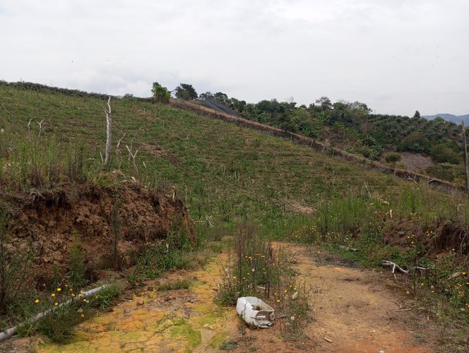 Finca en  Venta en El carmen de viboral - Imagen 1