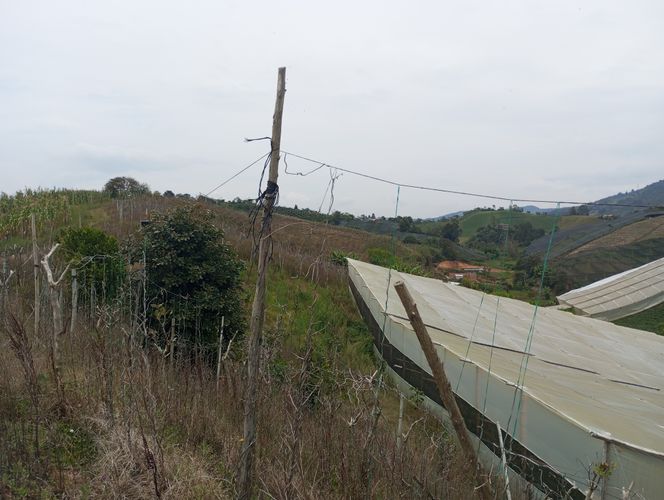 Finca en  Venta en El carmen de viboral - Miniatura 6