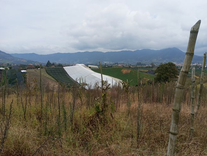 Finca en  Venta en El carmen de viboral - Miniatura 7
