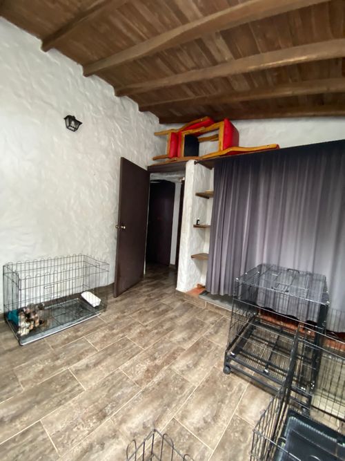 Finca en  Arriendo en El carmen de viboral - Miniatura 26