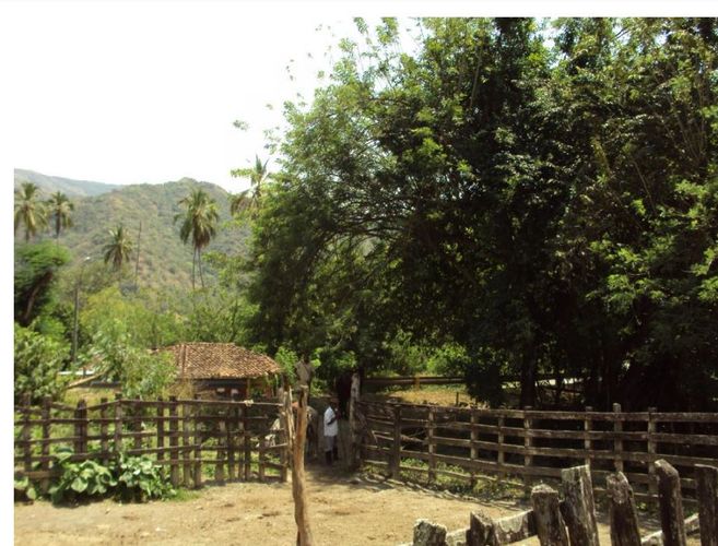 Finca en  Venta en Santafe de antioquia - Imagen 1