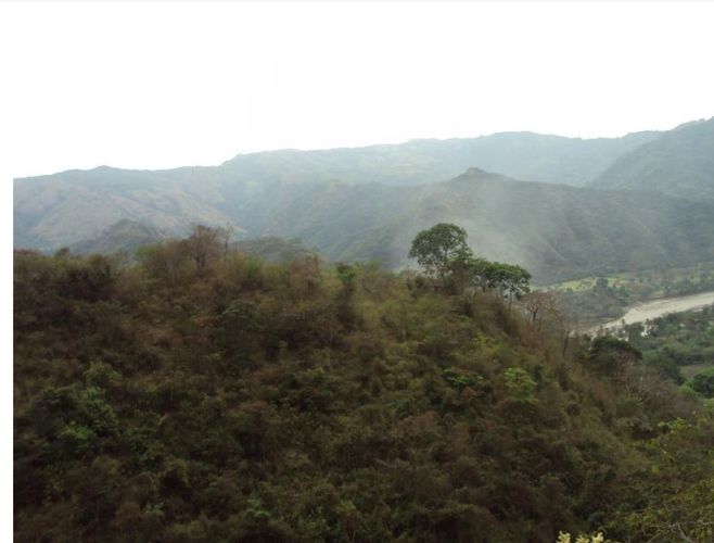 Finca en  Venta en Santafe de antioquia - Miniatura 2