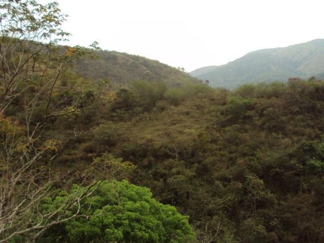 Finca en  Venta en Santafe de antioquia - Miniatura 8