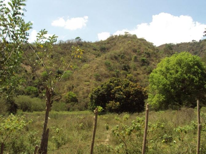 Finca en  Venta en Santafe de antioquia - Miniatura 9